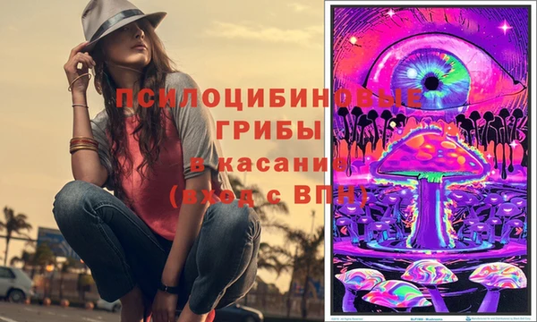 мяу мяу мука Новозыбков